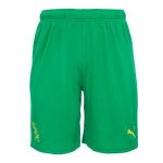 Pantaloni West Brom Away 2022/2023 Pantaloni West Brom Away 2022/2023