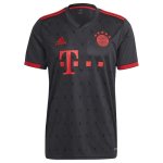 Maglia Bayern Monaco Terza 2022/2023 Maglia Bayern Monaco Terza 2022/2023
