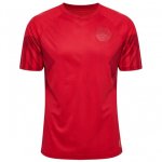 Thailandia Maglia Denmark Prima 2022/2023 Rosso Thailandia Maglia Denmark Prima 2022/2023 Rosso