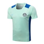Maglia Formazione Palmeiras 2022-2023 Verde Maglia Formazione Palmeiras 2022-2023 Verde