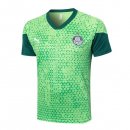 Maglia Formazione Palmeiras 2024/2025 Verde