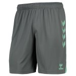 Pantaloni Everton Terza 2020/2021 Verde Pantaloni Everton Terza 2020/2021 Verde