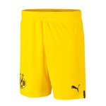 Pantaloni Borussia Dortmund 2022/2023 Giallo Pantaloni Borussia Dortmund 2022/2023 Giallo